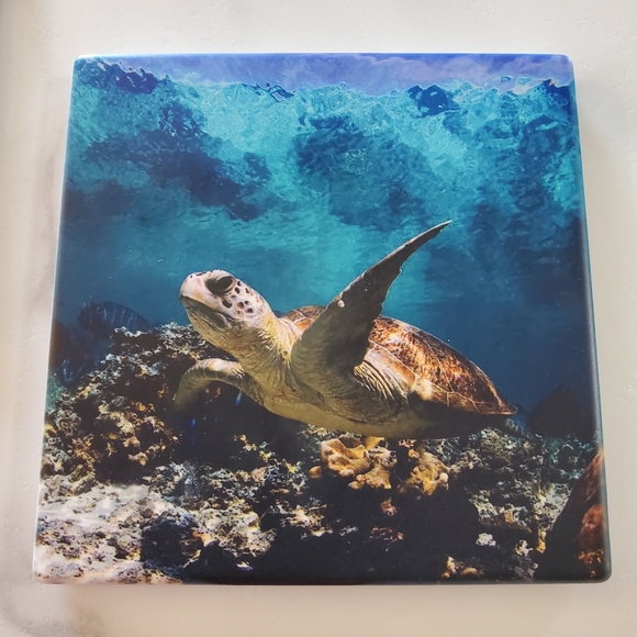 Sea Turtles 2 Pack Sandstone Coasters - Picture 3 of 8